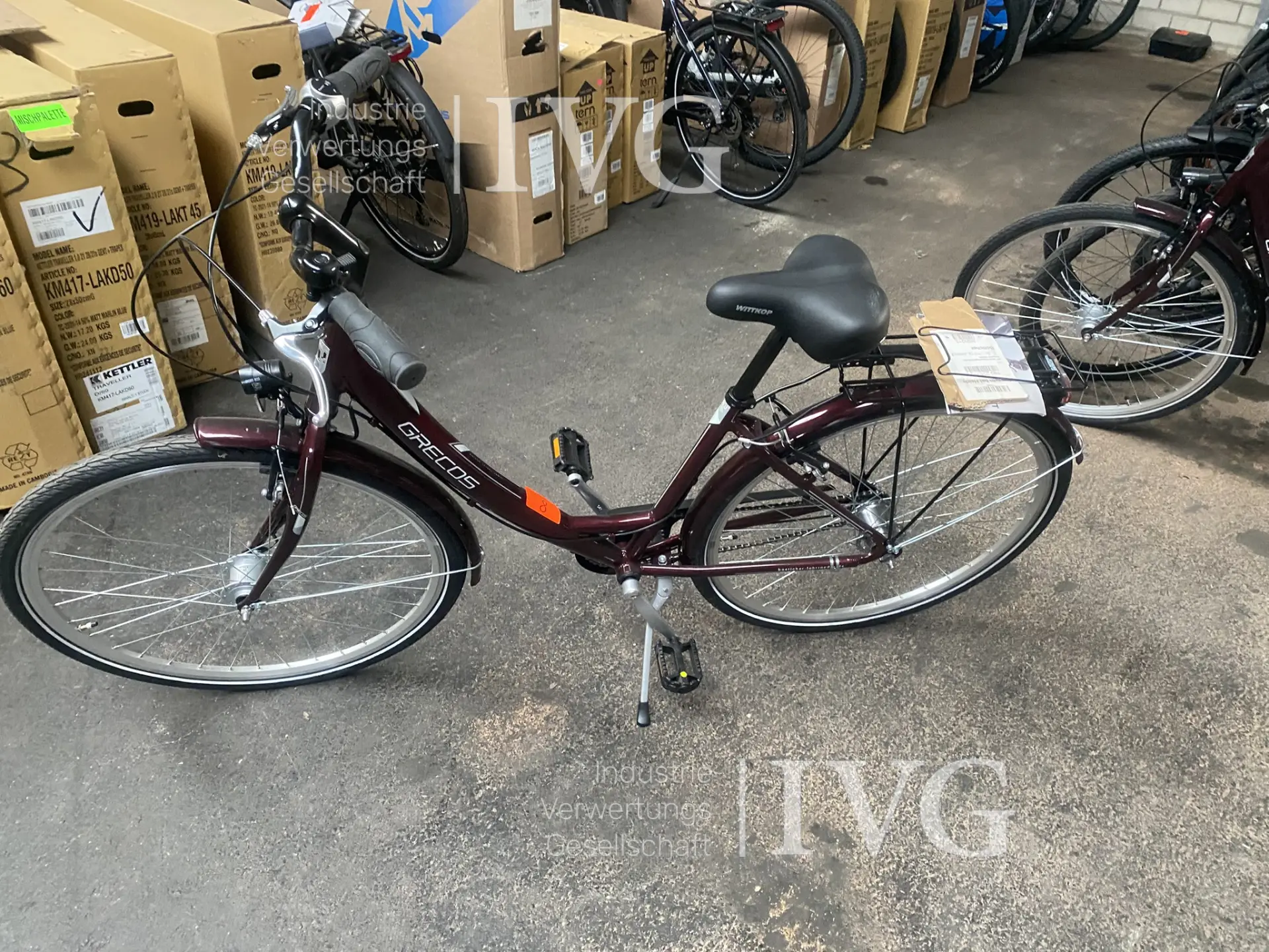 Fahrrad GRECOS Nizza